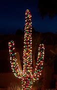 Image result for Arizona Christmas Tree