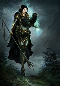 Image result for Dark Elf Wizard