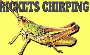 Image result for The Chirping Crickets