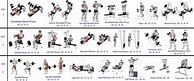 Image result for Weight Lifting Exercises for Beginners