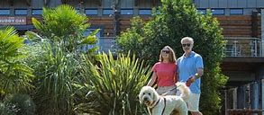 Image result for Rules Park London