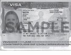 Image result for J1 Visa USA