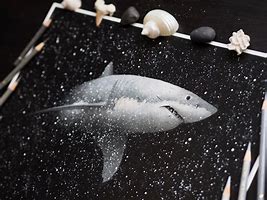 Image result for Great White Shark Art Print