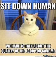 Image result for Hungry Cat Meme