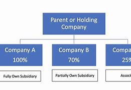 Image result for What Is a Subsidiary