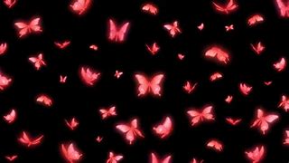 Image result for Dark Pink Butterfly Wallpaper