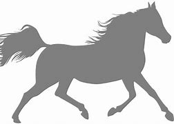 Image result for Race Horse Outline