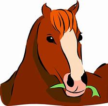 Image result for Horse Face Clip Art