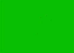 Image result for Free Green Screen Downloads