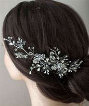 Image result for Silver Hair Clips