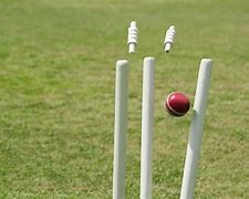 Image result for Cricket Spin Ball Trick