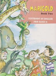 Image result for 2nd Primary Books