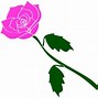 Image result for Dark Pink Roses Background Clip Art