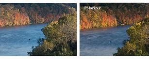 Image result for Polarizing Filter Example