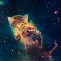 Image result for Galaxy Cat Desktop