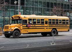 Image result for school bus