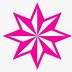 Image result for 8 Point Star Badge