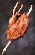 Image result for Cajkovski Balet Crni Labud