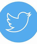Image result for Blue Circle Twitter Logo
