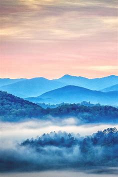 Cute as a Button: Great Smoky Mountains National Park, USA  Eduardo Lierandi