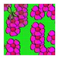 blumen malvorlagen kostenlos spielen blumen und unkraut kostenlos spielen auf blumen malvorlagen kostenlos spielen blumen und unkraut kostenlos spielen auf