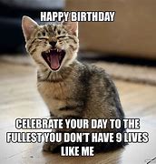 Image result for Happy Belated Birthday Cat Memes