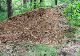Image result for 30 Cubric Meters of Mulch