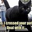 Image result for Hello Basement Cat Meme