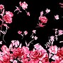 Image result for Pink Background Design HD