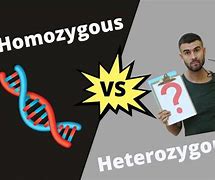 Image result for What Is a Homozygous