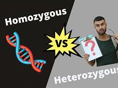Image result for Heterozygous vs Homozygous Plants