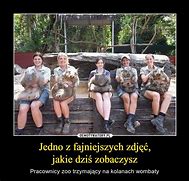 Image result for co_to_za_zofijówka