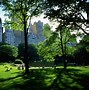 Image result for Summer in the Park Roku Wallpaper