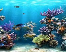 Image result for Animated Screensavers Free Download