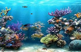 Image result for Animated Cool Screensavers
