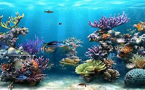 Image result for Underwater Animated Background
