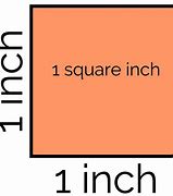 Image result for Kuyper Not One Square Inch