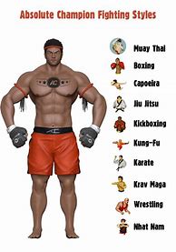 Image result for Combat Fighting Styles