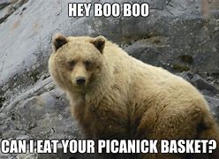 Image result for Yogi Bear Meme