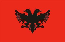 Image result for Alt Albania Flag