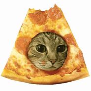 Image result for Cheese Pizza Cat Meme