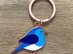 Image result for Large Keychain