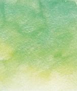 Image result for Watercolor Paper Texture