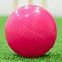 Image result for Cricket Balls in Carrying Case