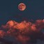 Image result for Wallpaper Moon Fir iPhone