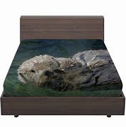 Image result for Otter Comforter