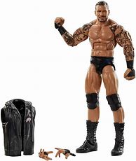 Image result for WWE Mattel Elite Action Figure