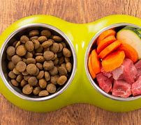 Image result for Best Homemade Dog Food