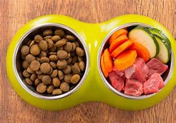 Image result for Small Breed Homemade Dog Food