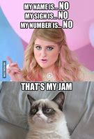 Image result for Cat Phone Call Meme